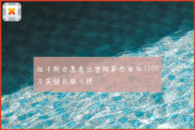 纽卡斯尔愿意出售维萨恐面临3500万英镑巨额亏损