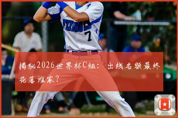 揭秘2026世界杯C组:出线名额最终花落谁家?